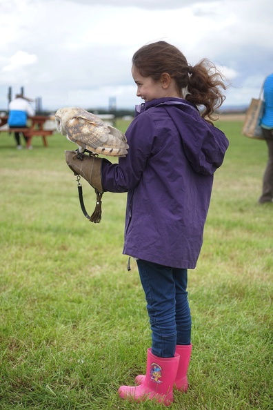 Little Girl and Barn Owl