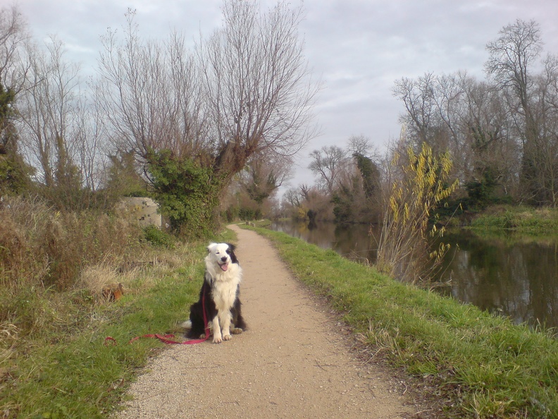 Jake posing on the Cam tow path